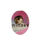 ハムスターのチップ君だよ（個別スタンプ：24）
