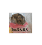 ハムスターのチップ君だよ（個別スタンプ：32）