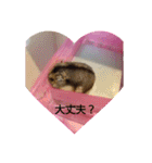 ハムスターのチップ君だよ（個別スタンプ：36）