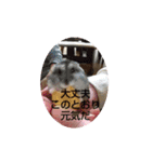 ハムスターのチップ君だよ（個別スタンプ：37）