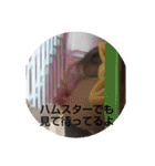 ハムスターのチップ君だよ（個別スタンプ：38）
