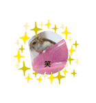 ハムスターのチップ君だよ（個別スタンプ：40）
