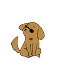 めがね犬（背景暗め専用）（個別スタンプ：5）