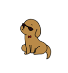 めがね犬（背景暗め専用）（個別スタンプ：9）