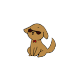 めがね犬（背景暗め専用）（個別スタンプ：10）