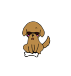 めがね犬（背景暗め専用）（個別スタンプ：24）