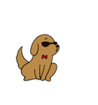 めがね犬（背景暗め専用）（個別スタンプ：33）