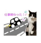 3匹のウチのにゃんこ（個別スタンプ：2）
