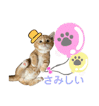 3匹のウチのにゃんこ（個別スタンプ：22）