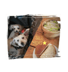 youmoco3（個別スタンプ：10）