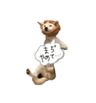 ひなふく②（個別スタンプ：13）