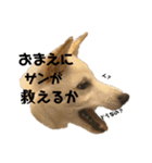 ひなふく②（個別スタンプ：28）