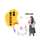 杏那スタンプ（個別スタンプ：12）