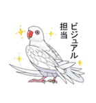 貴方の子もきっと見つかる！インコスタンプ（個別スタンプ：8）