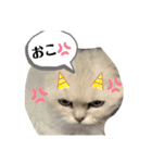 プティノワ（個別スタンプ：6）