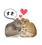 プティノワ（個別スタンプ：11）