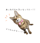 ねころぶ2（個別スタンプ：2）