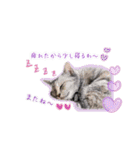 ねころぶ2（個別スタンプ：3）