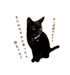 ねころぶ2（個別スタンプ：6）