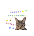 ねころぶ2（個別スタンプ：7）