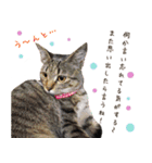 ねころぶ2（個別スタンプ：8）