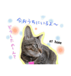 ねころぶ2（個別スタンプ：10）