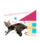 ねころぶ2（個別スタンプ：11）
