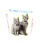 ねころぶ2（個別スタンプ：15）
