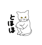 うどんこねるねこ。（個別スタンプ：4）