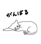 うどんこねるねこ。（個別スタンプ：6）