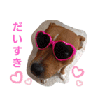BOSSちゃんno.2（個別スタンプ：3）