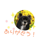 れおの毎日使えるスタンプ（個別スタンプ：8）