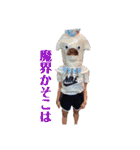 氏スタ（個別スタンプ：8）