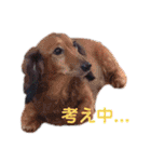 氏スタ（個別スタンプ：31）