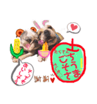 ぶるぶるどっぐ5（個別スタンプ：3）
