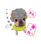 ぶるぶるどっぐ5（個別スタンプ：4）