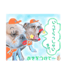 ぶるぶるどっぐ5（個別スタンプ：14）