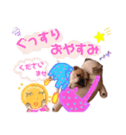 ぶるぶるどっぐ5（個別スタンプ：19）