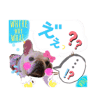ぶるぶるどっぐ5（個別スタンプ：23）