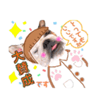 ぶるぶるどっぐ5（個別スタンプ：28）