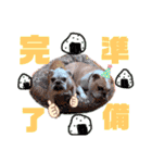 ぶるぶるどっぐ5（個別スタンプ：36）