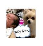 コタとジナンとサランのスタンプ（個別スタンプ：19）
