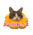 ナナチとまる1（個別スタンプ：2）