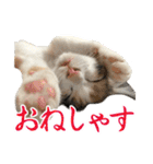 ナナチとまる1（個別スタンプ：4）