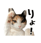 ナナチとまる1（個別スタンプ：7）