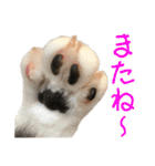 ナナチとまる1（個別スタンプ：10）