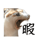 ナナチとまる1（個別スタンプ：12）