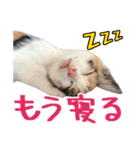 ナナチとまる1（個別スタンプ：15）