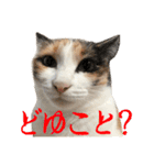 ナナチとまる1（個別スタンプ：18）