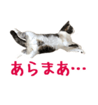 ナナチとまる1（個別スタンプ：20）